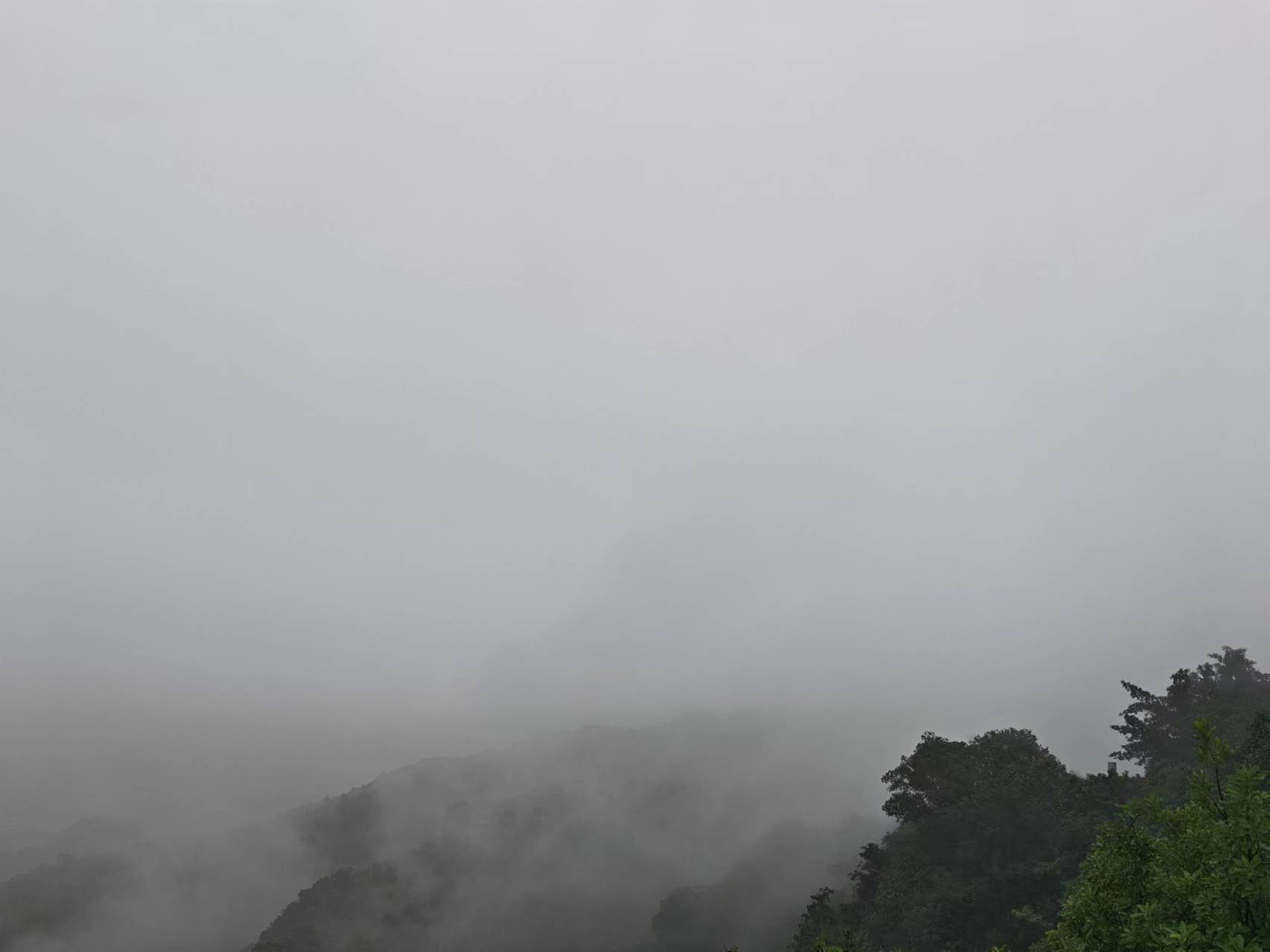 image-20240309030246676